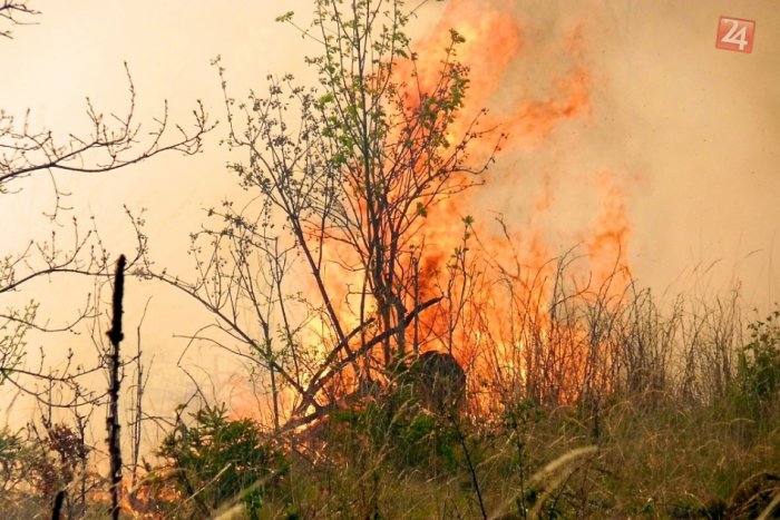 Ilustračný obrázok k článku V lese úradoval podpaľač: Poľovnícky posed skončil v plameňoch!